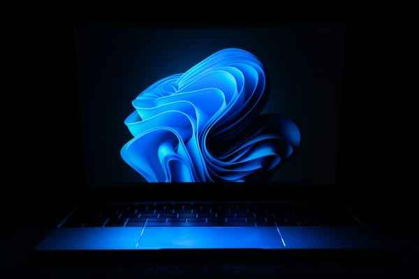 解决Win11鼠标指针在某些场景下消失的问题